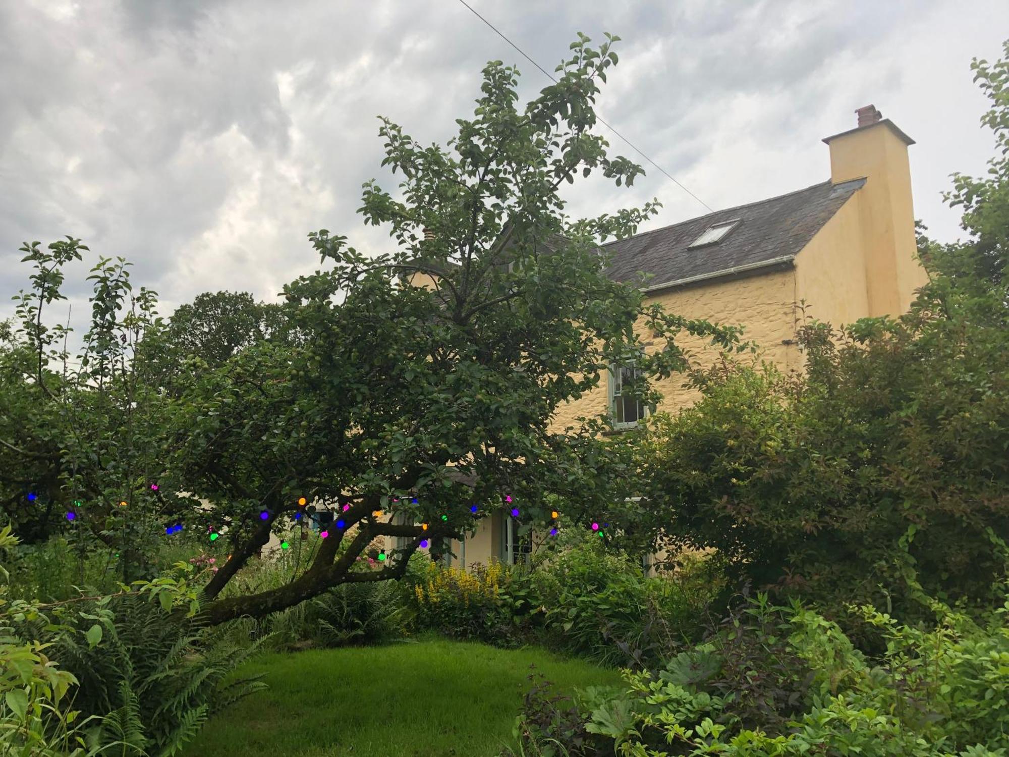 Ynyswen Bed & Breakfast Nantgaredig Екстер'єр фото